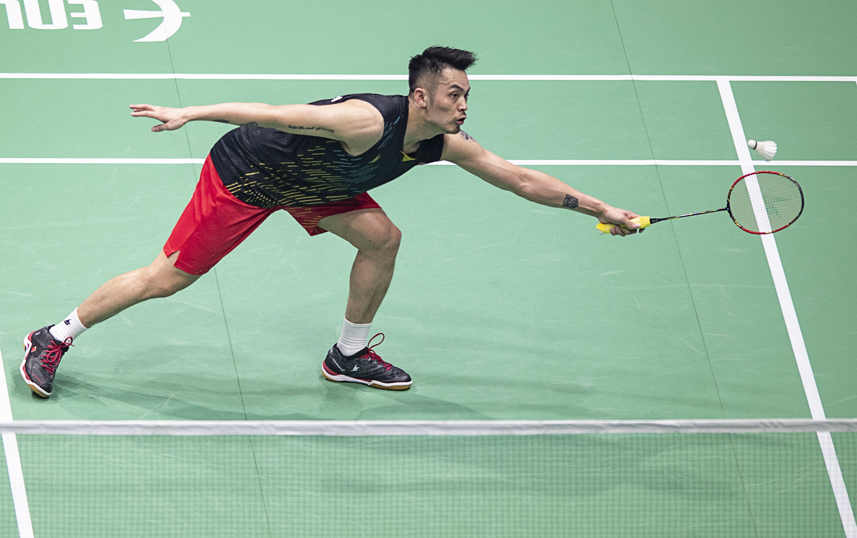 他们可能会 他们可能会