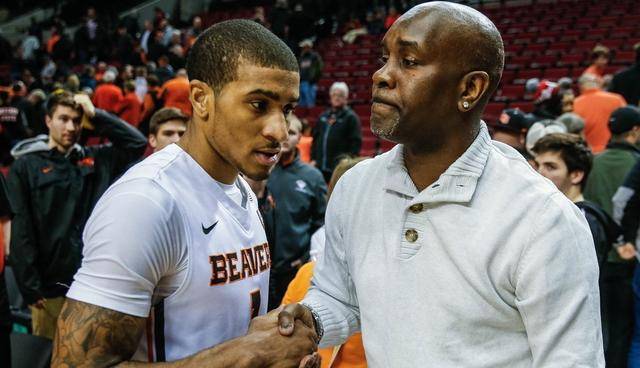 了一个崭新 了一个崭新