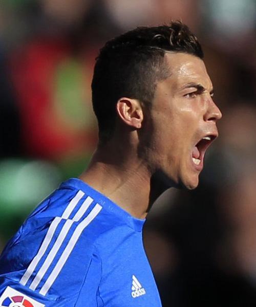 将再创新高 将再创新高